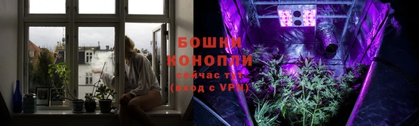 стафф Ельня