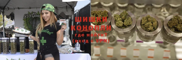 мдпв Елизово