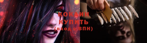 стафф Ельня