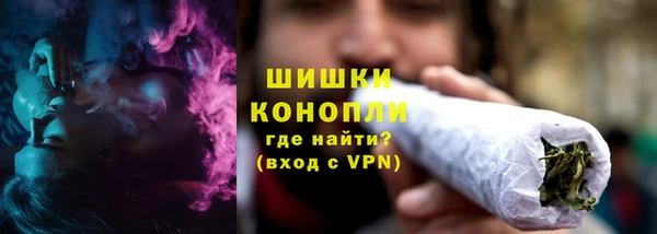 ПСИЛОЦИБИНОВЫЕ ГРИБЫ Елабуга