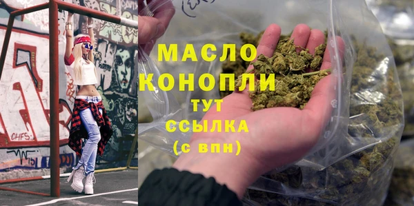 стафф Ельня