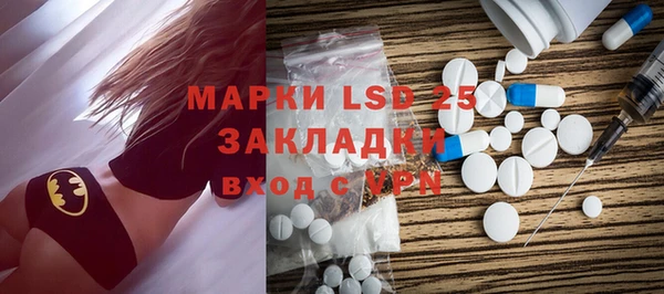 стафф Ельня