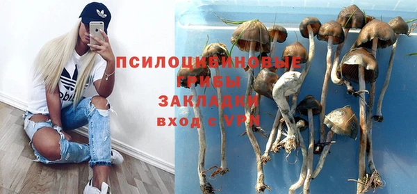 мдпв Елизово