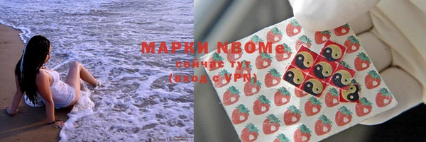 стафф Ельня