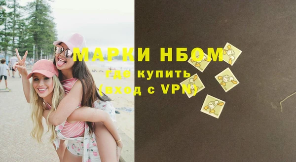 мдпв Елизово